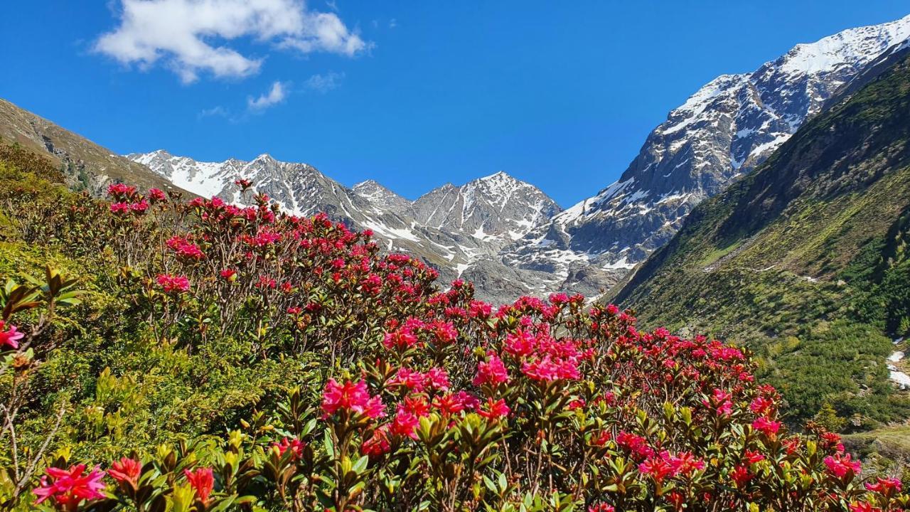 Gasthof Pension Santeler Sankt Leonhard im Pitztal Dış mekan fotoğraf